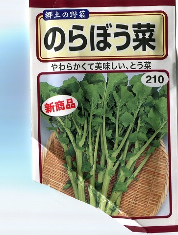 野菜種002.jpg